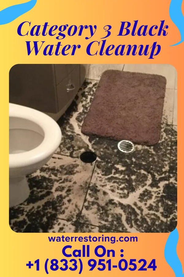 Category 3 Black Water Cleanup in Greendale, MO