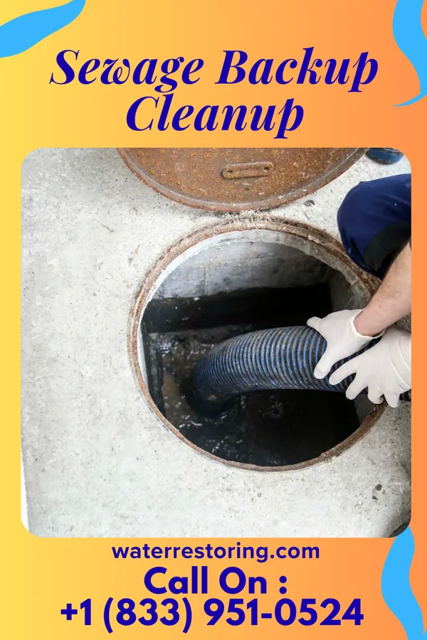 Sewage Backup Cleanup in Greendale, MO