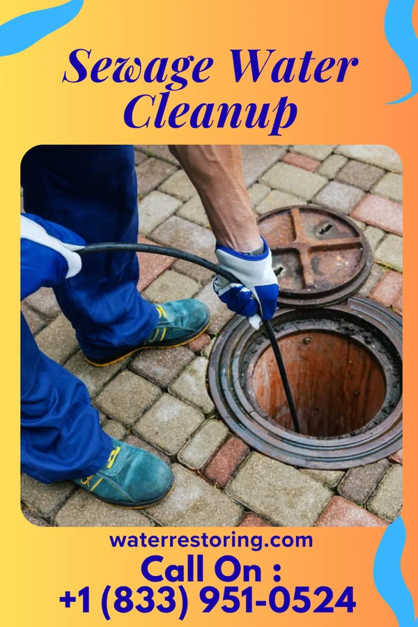 Sewage Water Cleanup in Greendale, MO