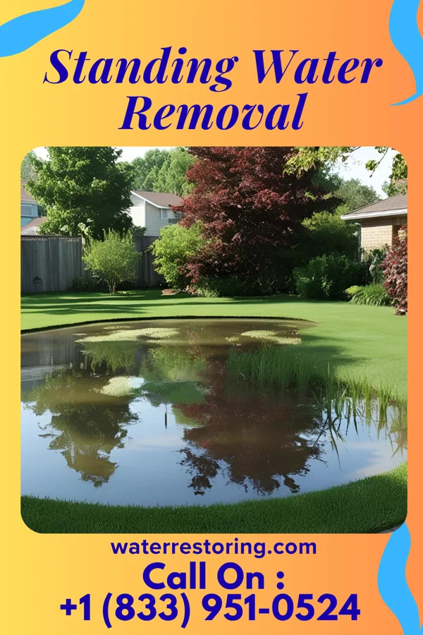 Standing Water Removal in Greendale, MO